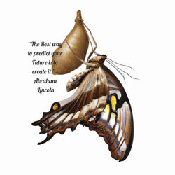 butterfly from cocoon