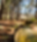 resorts-grandgeneva.jpg