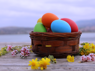 Last Minute Brunch + Spring Surprises in WalCo