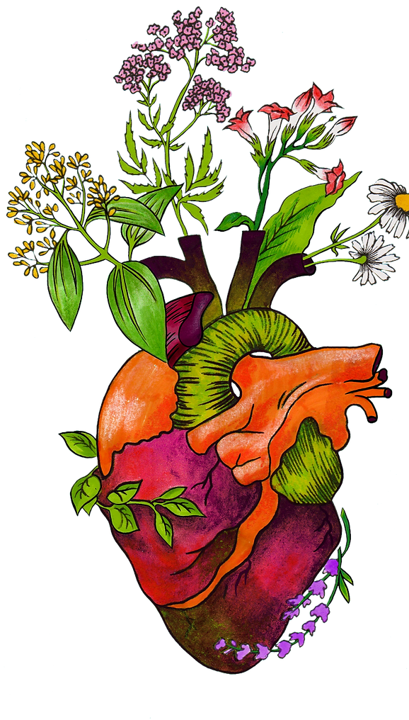 coeur_transparent.png