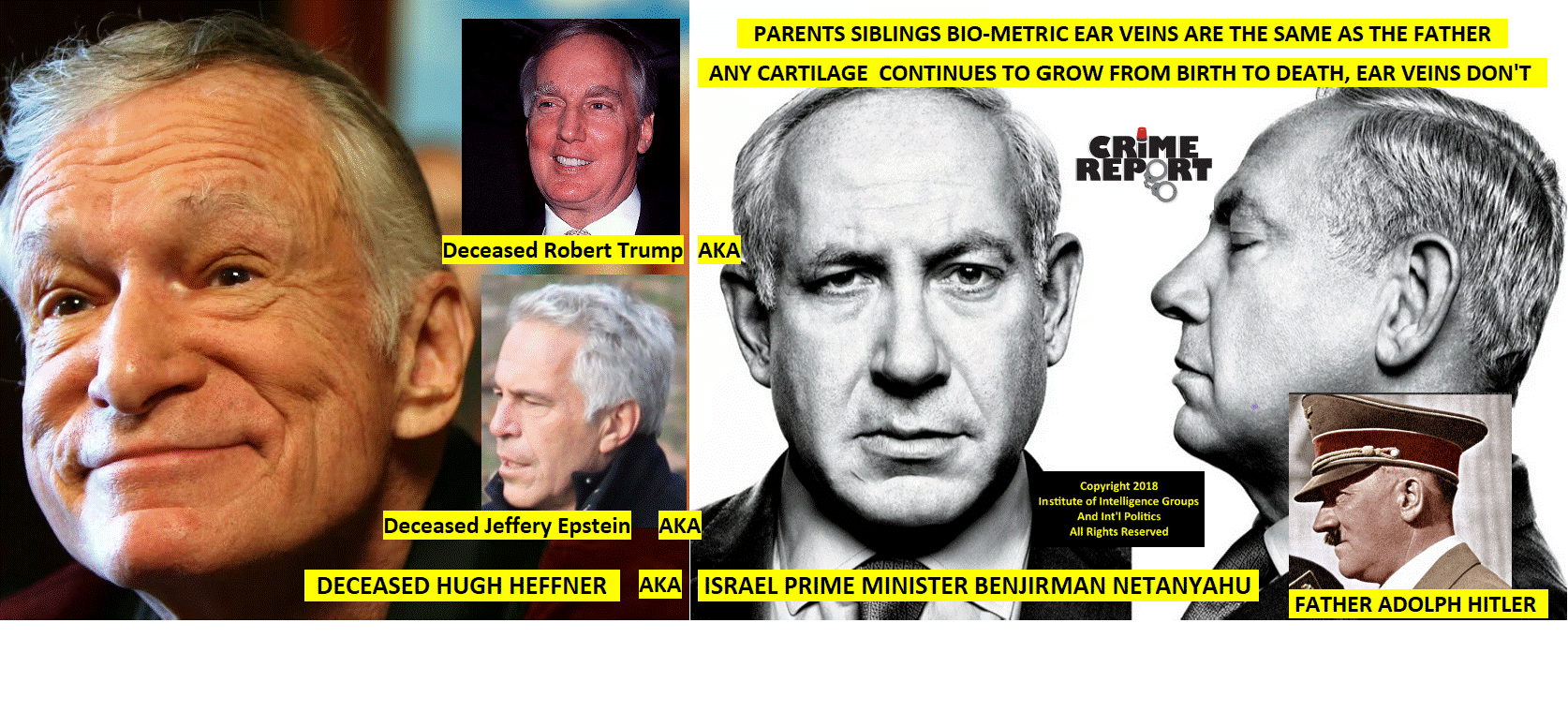 ROBERT TRUMP, HEFNER, EPSTEIN, NETANYAHU.gif