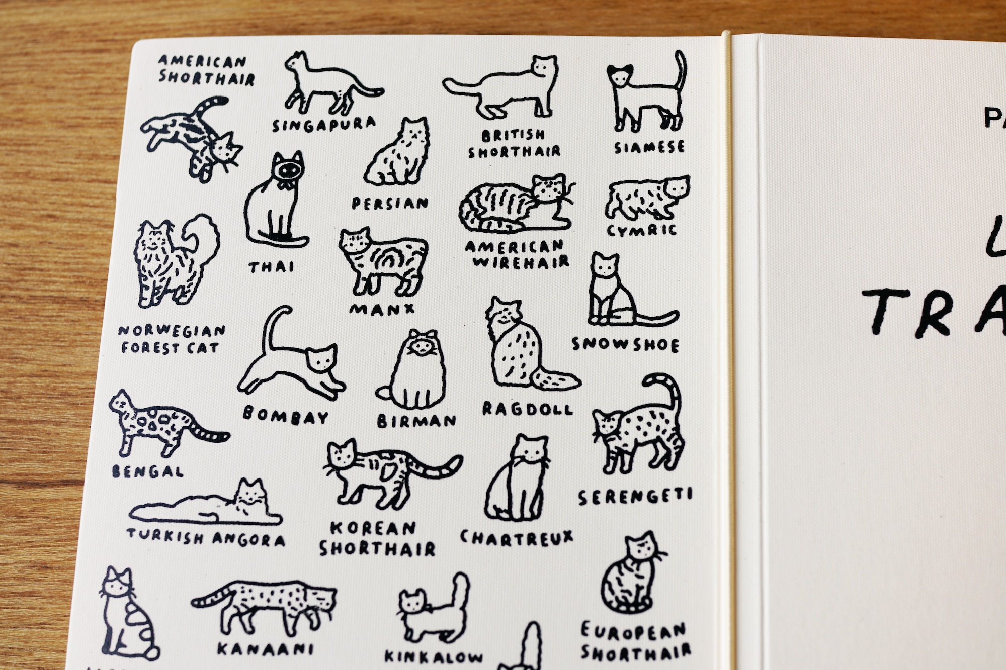 CAT white tuxedo | Passport cover2