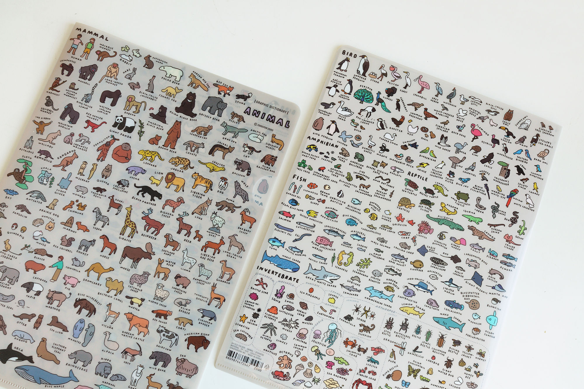 ANIMAL2 | A4 folder