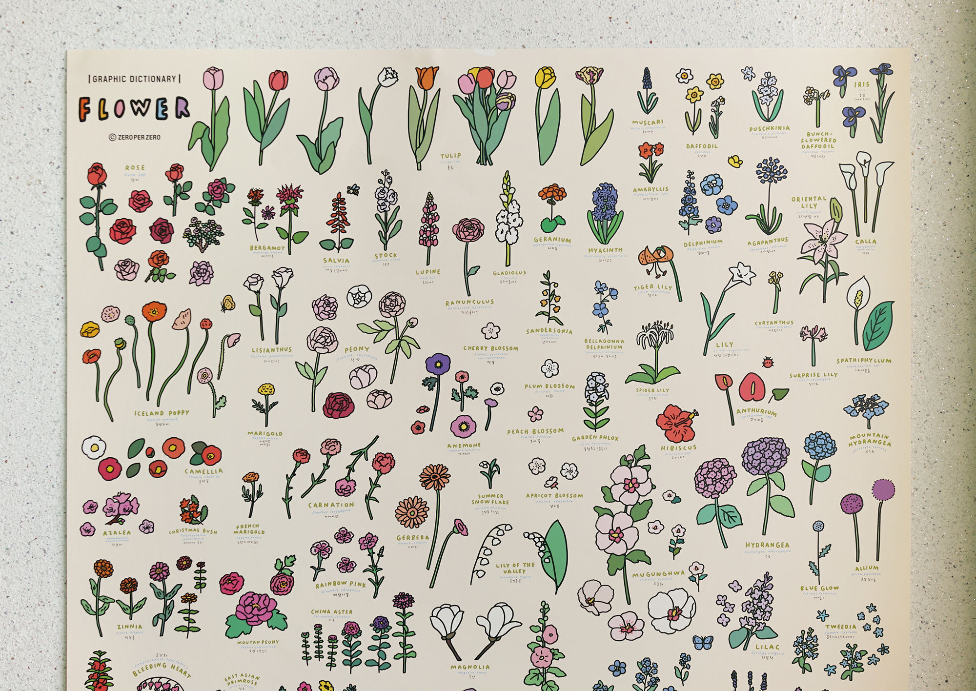 FLOWER Dictionary | 60x90 Poster