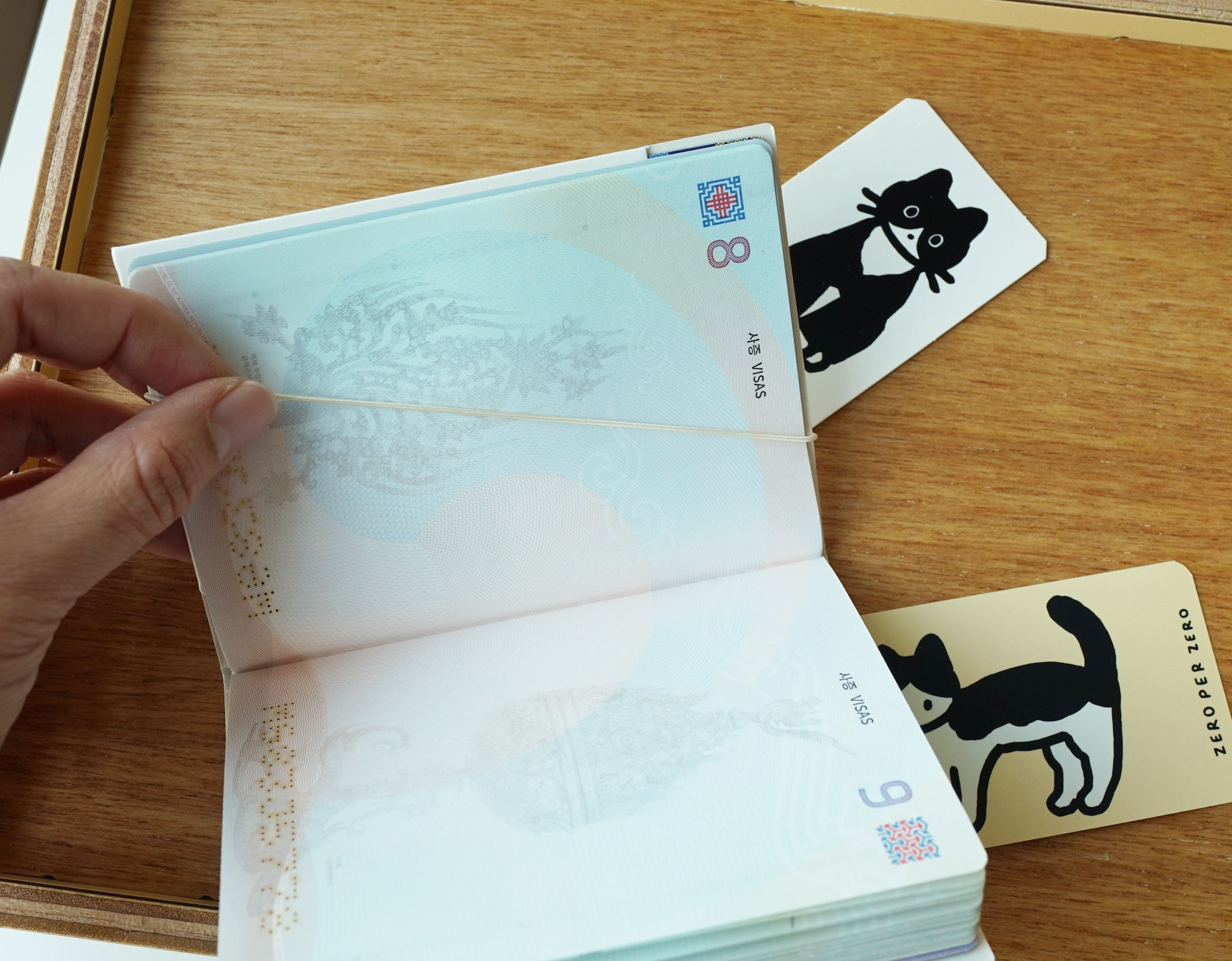 CAT white tuxedo | Passport cover2