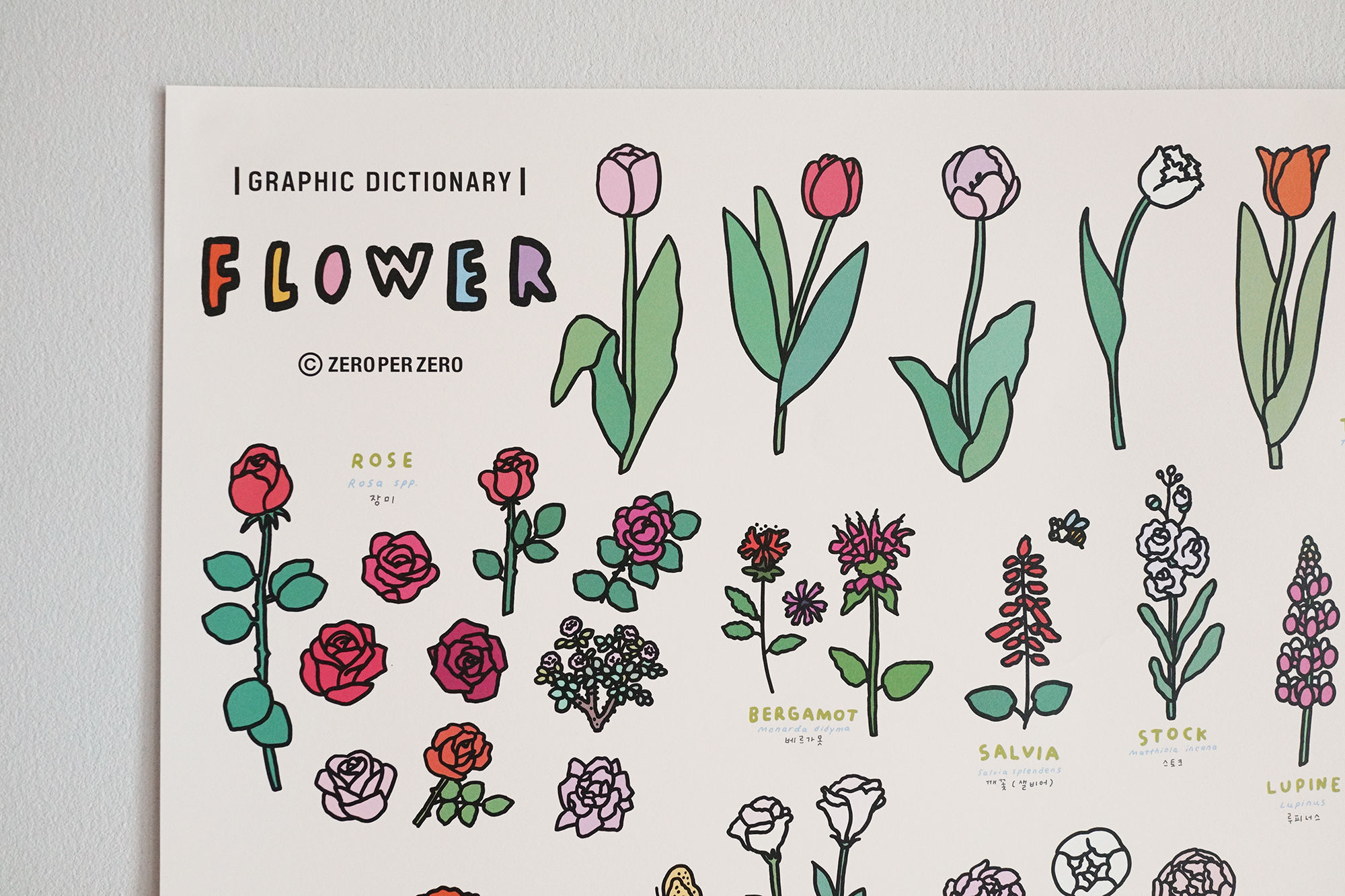 FLOWER Dictionary | 60x90 Poster