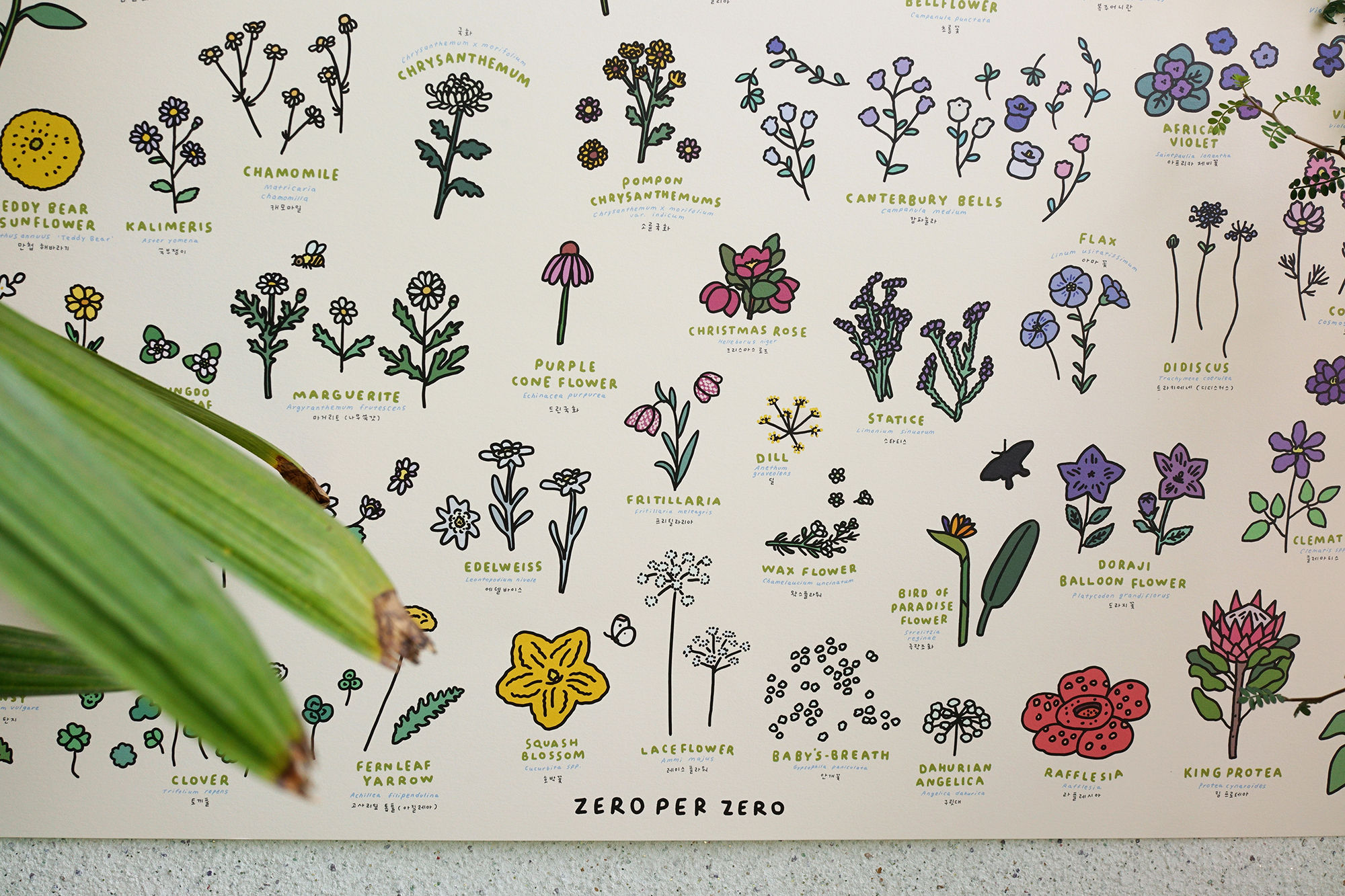 FLOWER Dictionary | 60x90 Poster