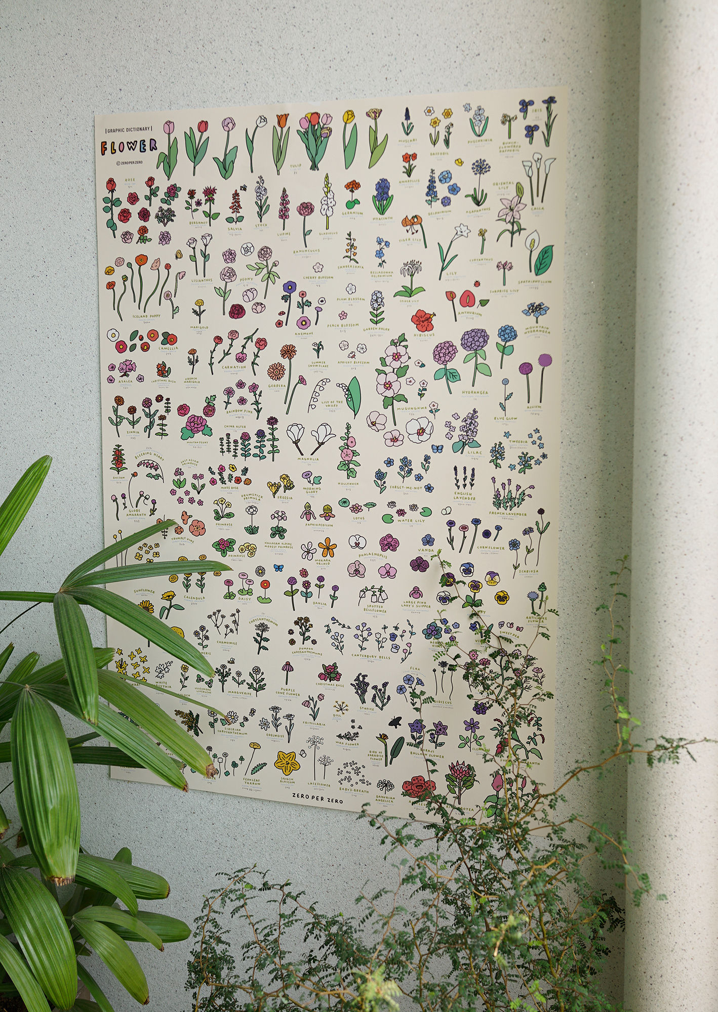FLOWER Dictionary | 60x90 Poster