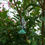 Thumbnail: SEOUL TOWER 1M  | Stand Up Keyring