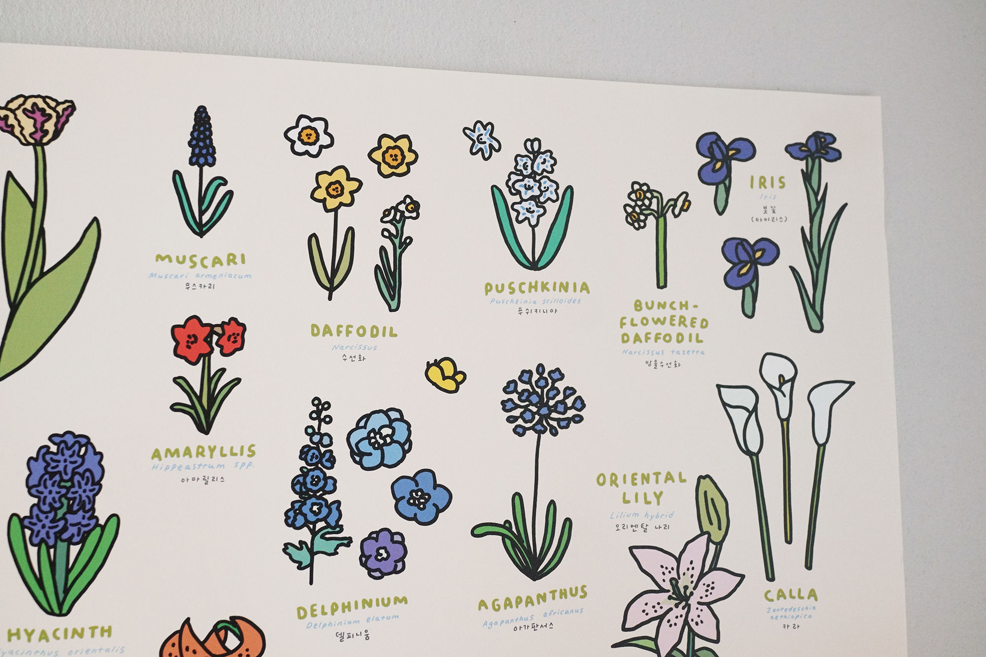 FLOWER Dictionary | 60x90 Poster