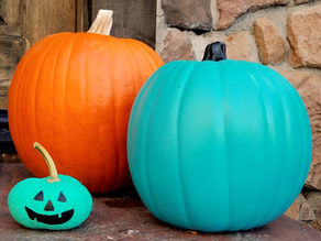 Trick or Treat, give me something I can eat!
