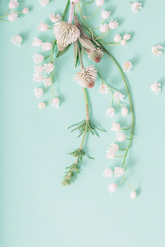 AdobeStock_270264737_edited.jpg