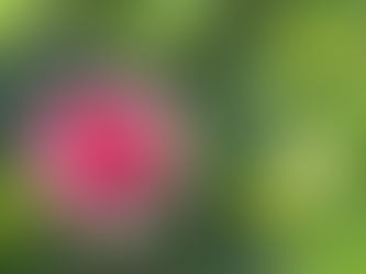 Lichtimpuls vom 17.7.2023