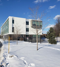 nouvelle_école.jpeg