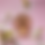 Thumbnail: Blossom Sample