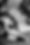 image00013.jpeg