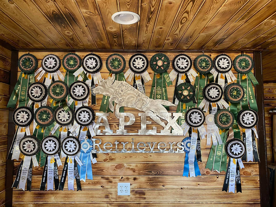 apex.jpg