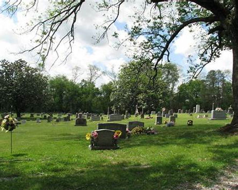 ChotaCemetery.jpeg