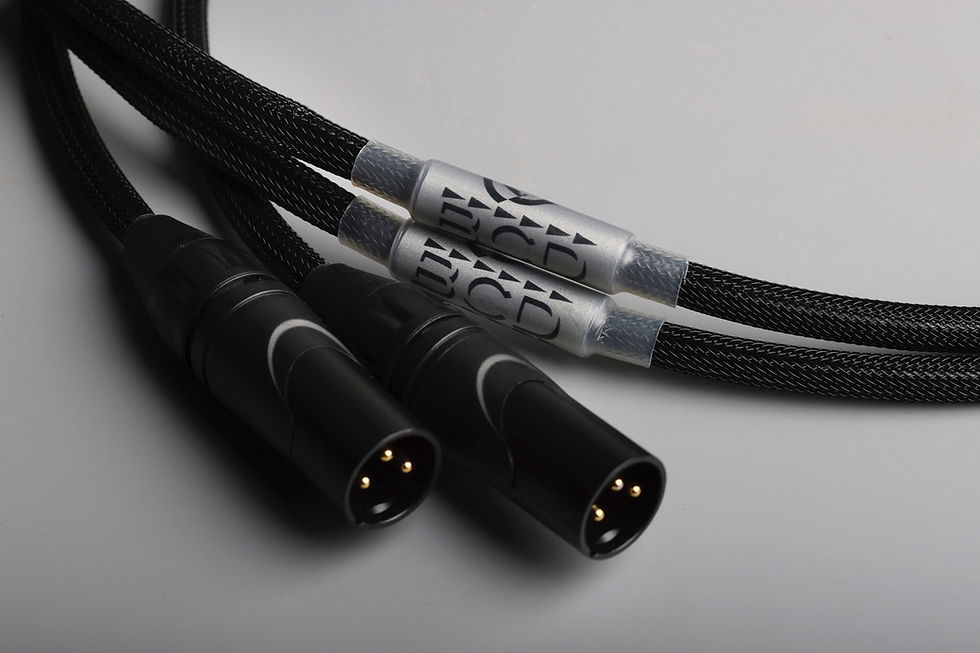 BCDIC2-XLR1