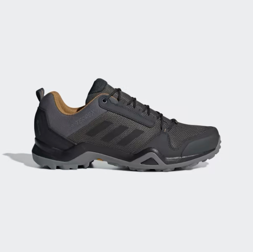 КРОССОВКИ МУЖСКИЕ ADIDAS TERREX AX3 GTX