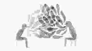 To Reduce Burnout on Your Team, Give People a Sense of Control