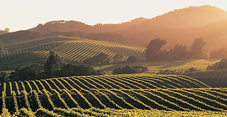 Napa