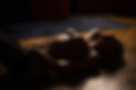 DSC07568-1.jpg