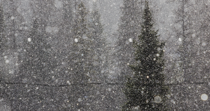 winterbackground.png