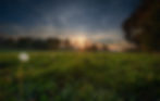 photodune-22551869-dandelion-illuminated-by-the-rays-of-the-setting-sun.jpg