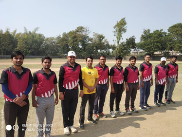 Cricket Printed Jersey