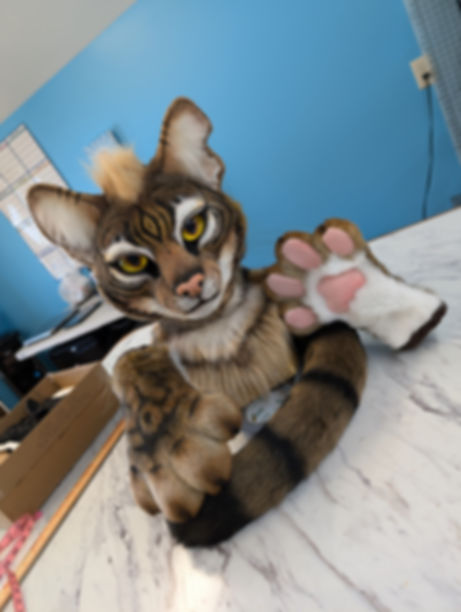 Realistic tabby cat - refurbished fursuit partial