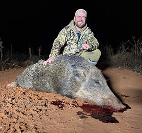 West Texas Hog
