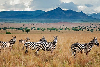 ouganda hors sentiers battus.jpg