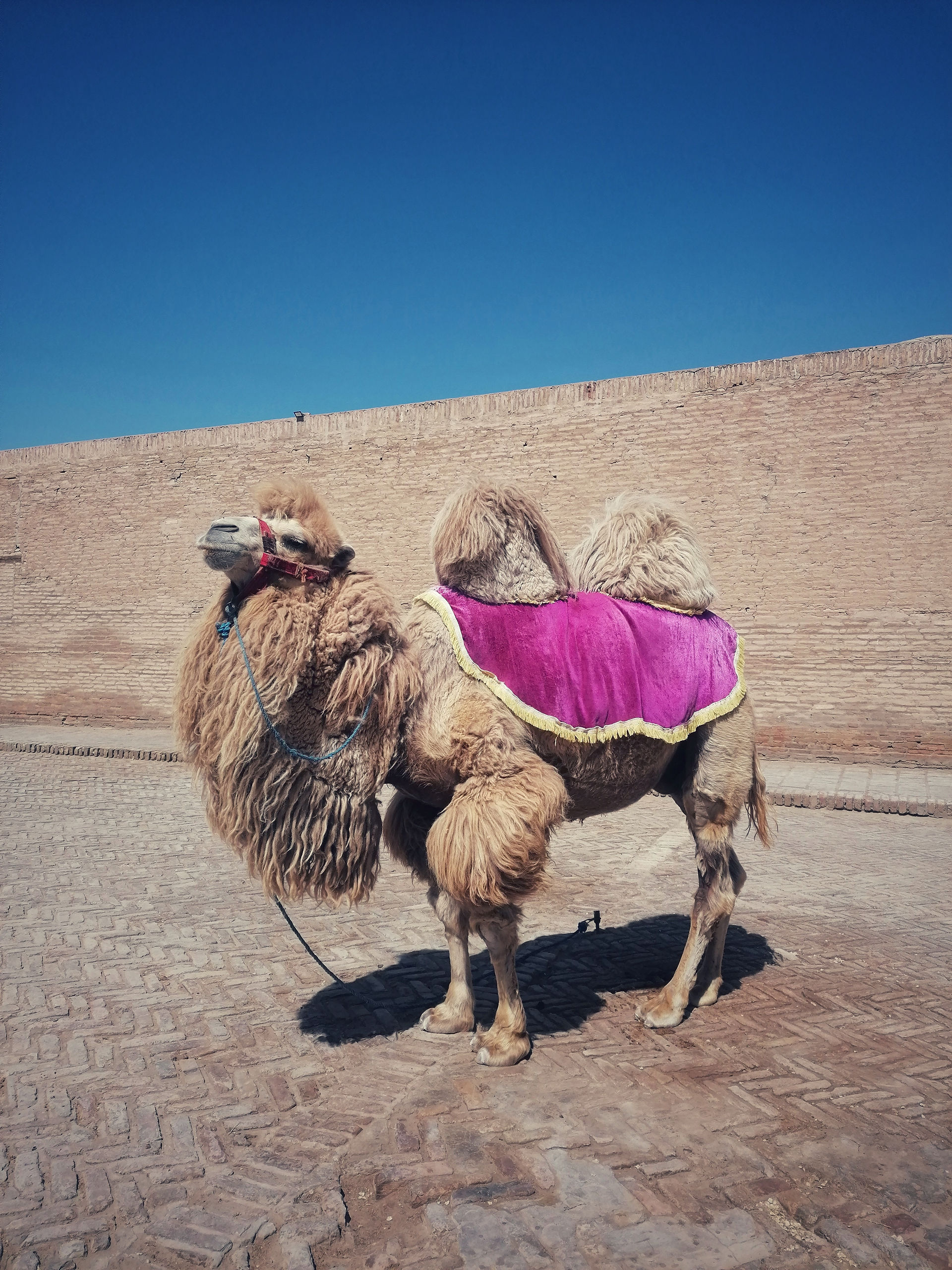 Carnet de voyage en Ouzbékistan