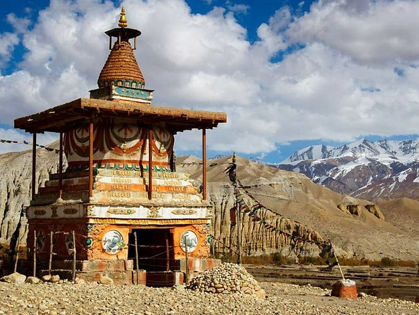 Decouverte du haut mustang.jpg
