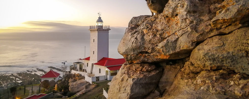 voyage road trip afrique du sud