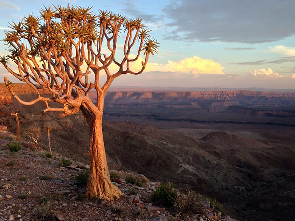 canyon en namibie.jpg