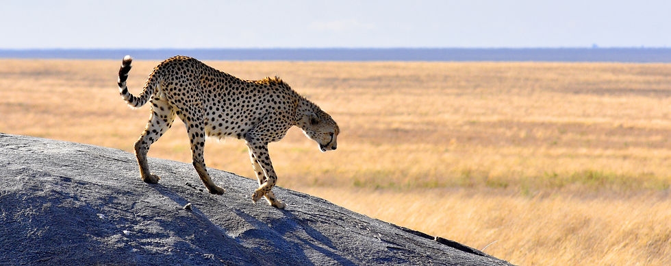 voyage sur mesure en tanzaniee