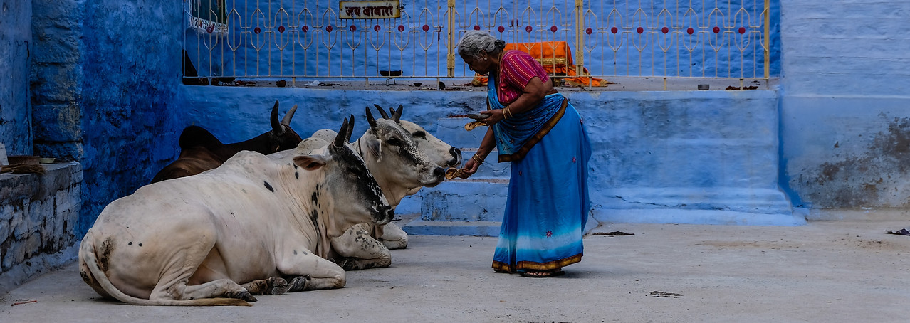 the old woman_edited.jpg