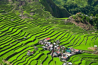 decouvrir les rizieres de luzon.jpg