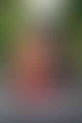 Mon voyage de 10 jours au Japon