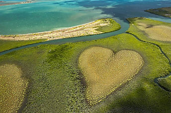 coeur de voh.jpg