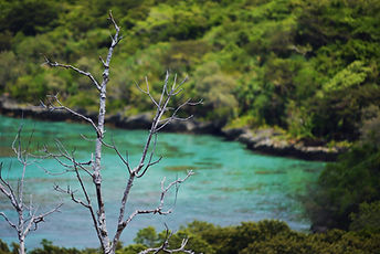 voyage nouvelle caledonie