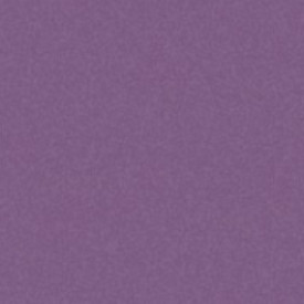 file.jpg