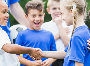 הגינות בספורט ב.png