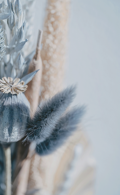 annie-spratt-Nz2-uRPCjTY-unsplash_edited