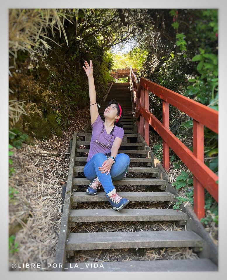 WhatsApp Image 2022-05-12 at 12.21.15 PM (2).jpeg