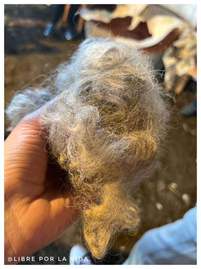 WhatsApp Image 2022-06-28 at 2.00.09 AM (3).jpeg