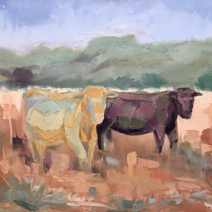 Cows
Field