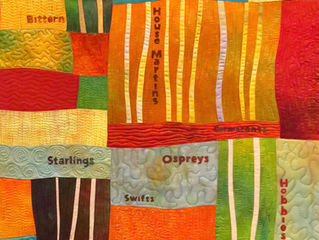 HABITATS : SPECIES #3: MIGRANTS, RETURNEES AND SETTLERS